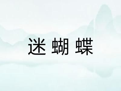 迷蝴蝶 迷蝴蝶