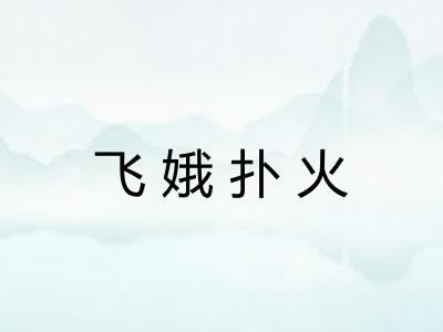 飞娥扑火 飞娥扑火