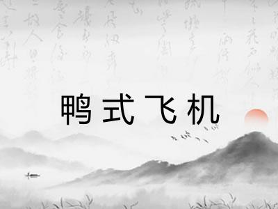鸭式飞机 鸭式飞机