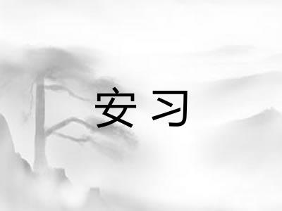 安习 安习
