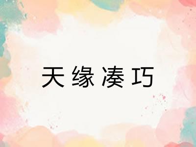 天缘凑巧 天缘凑巧