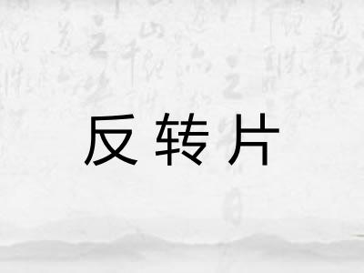 反转片 反转片