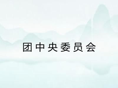 团中央委员会