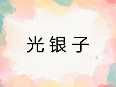 光银子 光银子