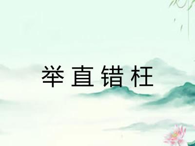 举直错枉 举直错枉