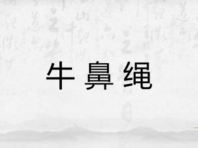 牛鼻绳