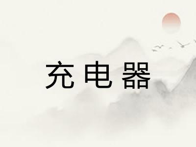 充电器 充电器