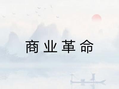 商业革命 商业革命