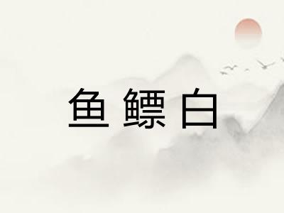 鱼鳔白