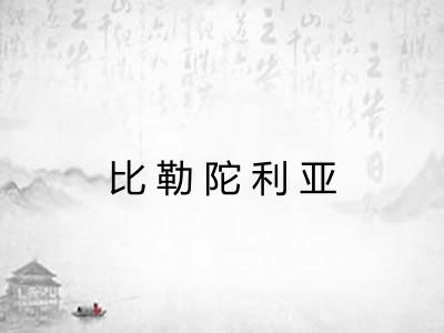 比勒陀利亚 比勒陀利亚