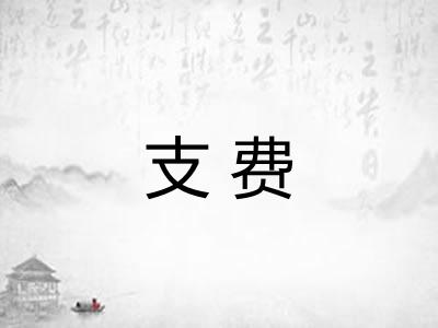支费