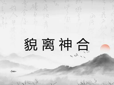 貌离神合 貌离神合