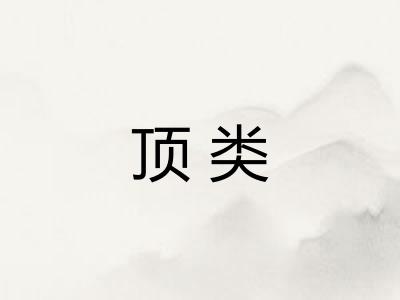 顶类 顶类