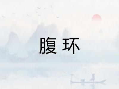 腹环 腹环