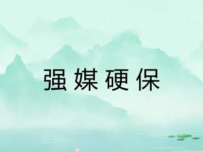强媒硬保