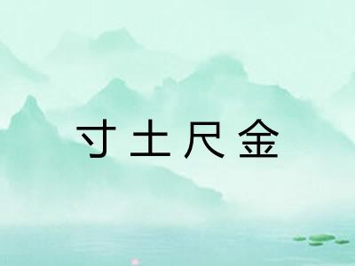 寸土尺金 寸土尺金