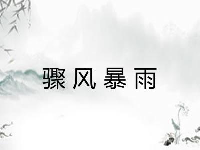 骤风暴雨 骤风暴雨