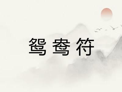 鸳鸯符 鸳鸯符