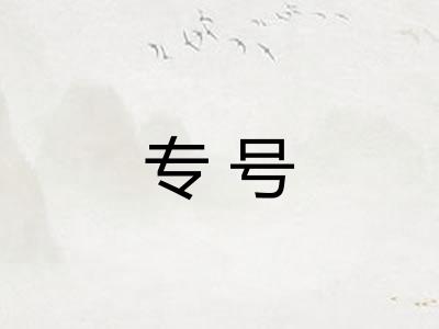 专号 专号