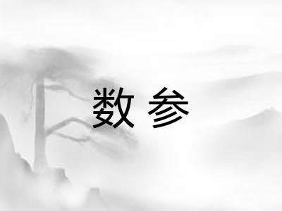 数参