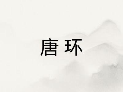 唐环