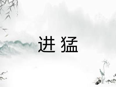 进猛 进猛