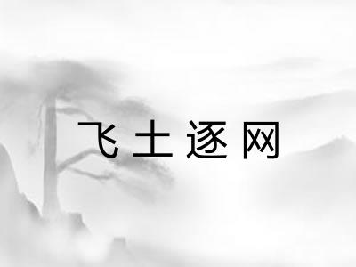 飞土逐网