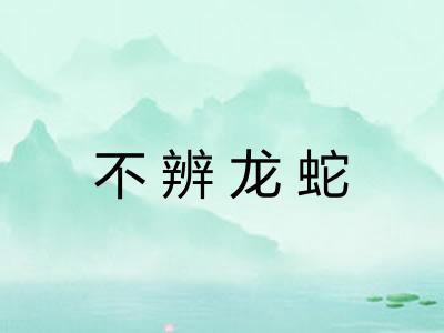 不辨龙蛇