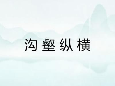 沟壑纵横 沟壑纵横