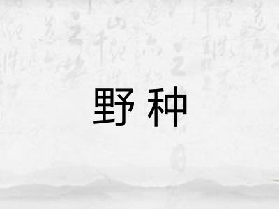野种 野种
