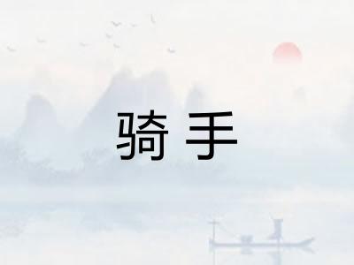 骑手 骑手