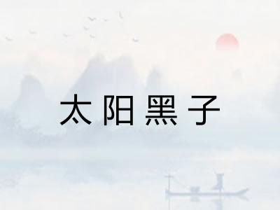 太阳黑子 太阳黑子