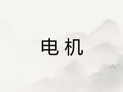 电机