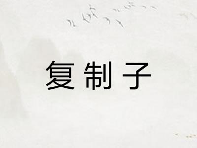 复制子 复制子