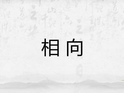 相向 相向