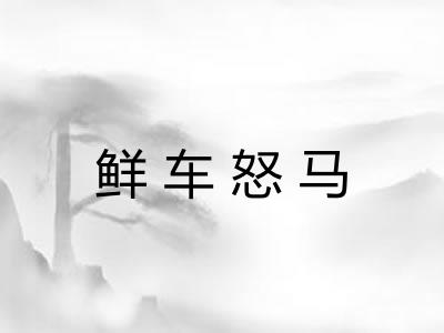 鲜车怒马 鲜车怒马