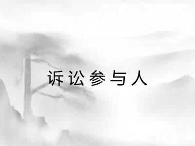 诉讼参与人 诉讼参与人