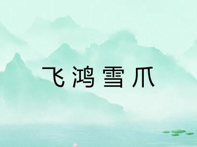 飞鸿雪爪