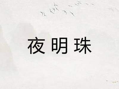 夜明珠 夜明珠
