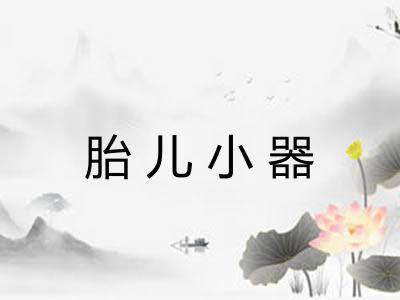 胎儿小器
