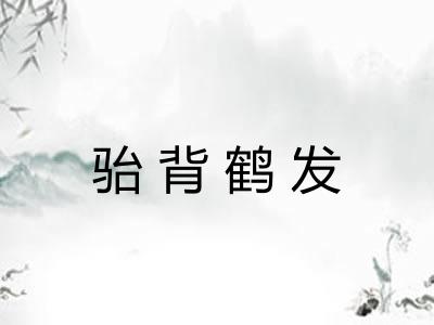 骀背鹤发 骀背鹤发