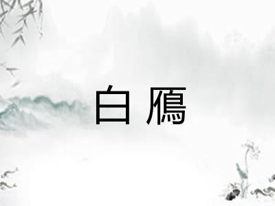 白鴈 白鴈