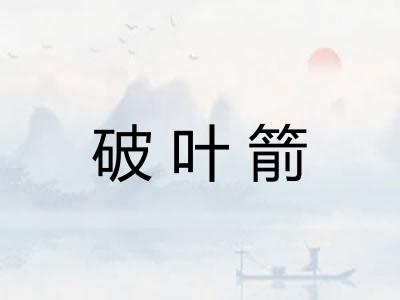 破叶箭