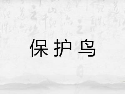保护鸟 保护鸟