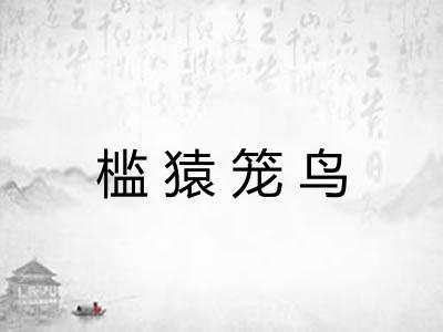 槛猿笼鸟 槛猿笼鸟