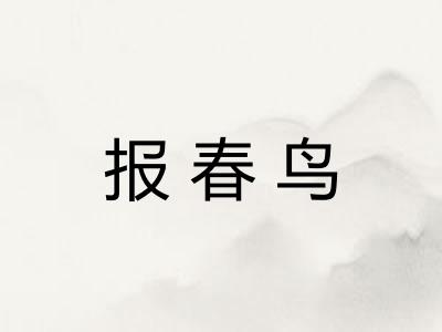 报春鸟 报春鸟