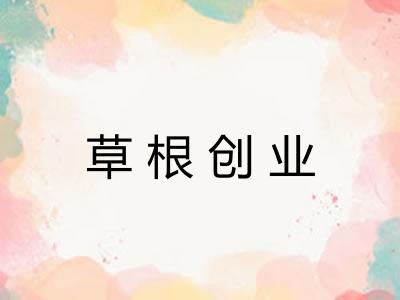 草根创业 草根创业