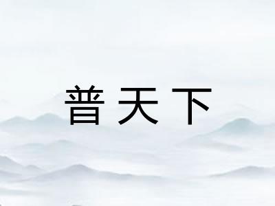 普天下 普天下