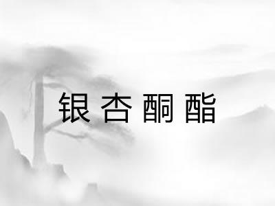 银杏酮酯 银杏酮酯