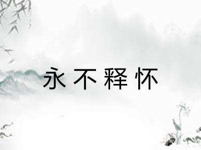 永不释怀 永不释怀